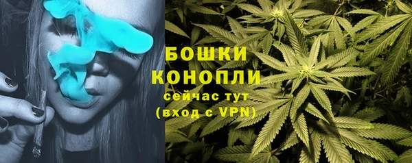 ПСИЛОЦИБИНОВЫЕ ГРИБЫ Абдулино