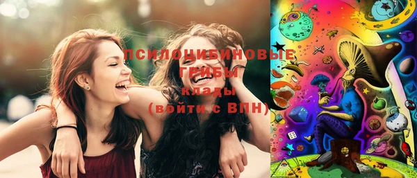 ПСИЛОЦИБИНОВЫЕ ГРИБЫ Абдулино