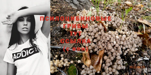 соль курить ск Абинск