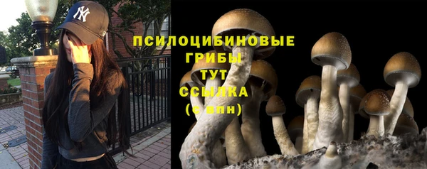 каннабис Алексин