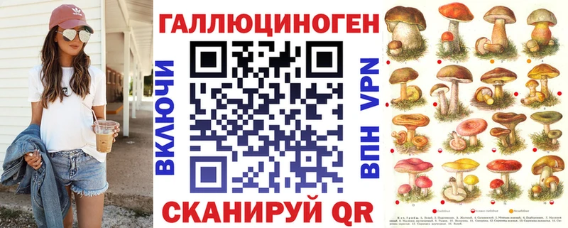 как найти наркотики Бугуруслан Галлюциногенные грибы Psilocybe
