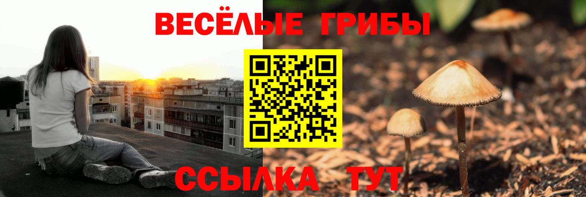 Бугуруслан  Галлюциногенные грибы Psilocybine cubensis  Вход с VPN  Галлюциногенные грибы Cubensis 